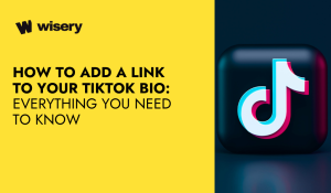 How-to-add-link-to-tiktok-bio