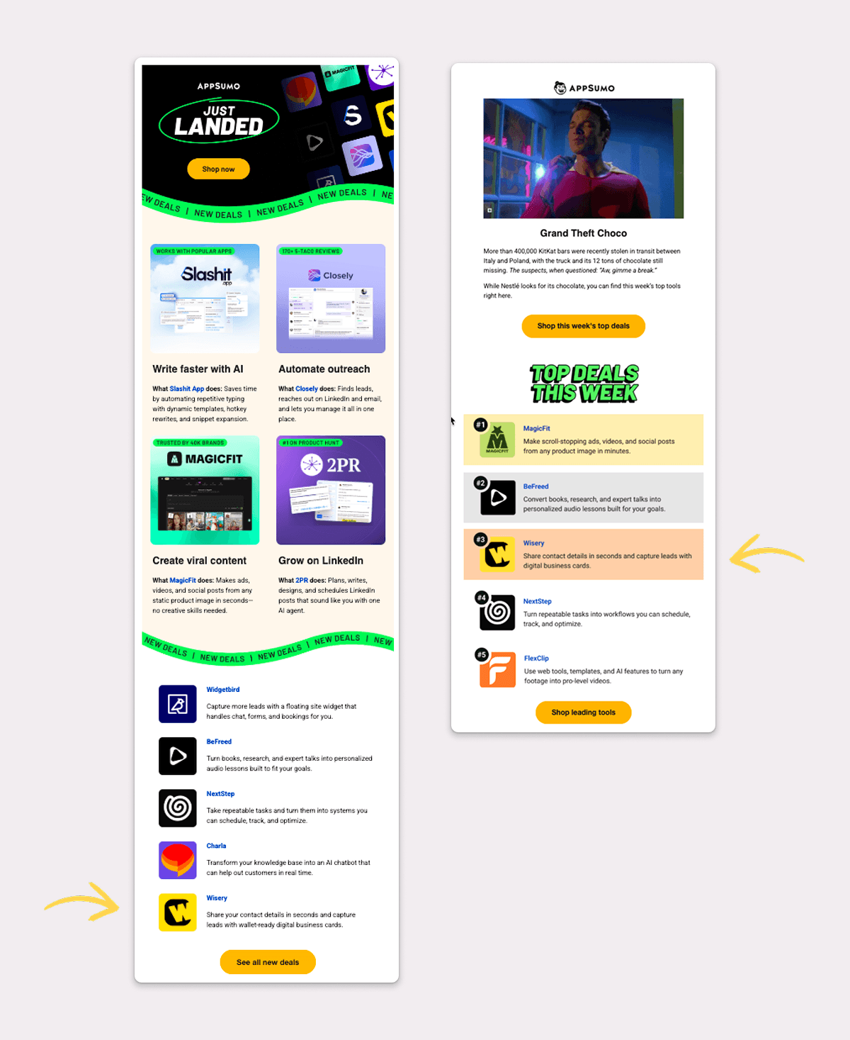 AppSumo Wiseru Email Promotion